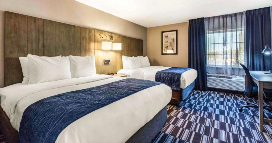 Best Places to Stay Near Graceland: A Home Base for Exploring Elvis’s Memphis
